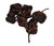 Dragons Breath Chilli 10g