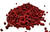 Red Peppercorns Image, Chillies on the Web Red Peppercorns Image, Chillies on the Web
