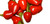 Hot Beads Chilli Seeds Image by Chillies on the Web Hot Beads Chilli Seeds Image by Chillies on the Web