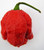 7 Pot Red Chilli Image, Chillies on the Web 7 Pot Red Chilli Image, Chillies on the Web