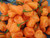 Scotch Bonnet Orange Chilli Plant Image, Chillies on the Web Scotch Bonnet Orange Chilli Plant Image, Chillies on the Web