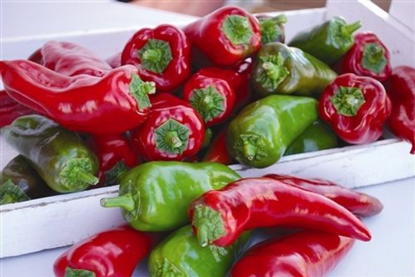 Tolls Sweet Italian Sweet Pepper Image by CHILLIESontheWEB