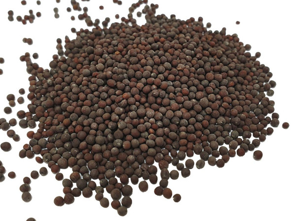 Organic Black Brown Mustard Seeds Image by SPICESontheWEB