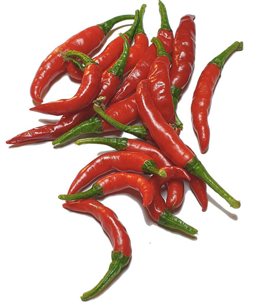 Cobanero Chilli Plant Image by CHILLIESontheWEB