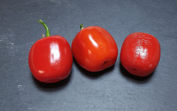 Rocoto Costs Rica Chilli Pods Image by CHILLIESontheWEB