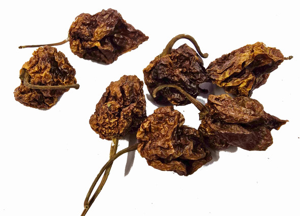 7 Pot Douglah Chilli 