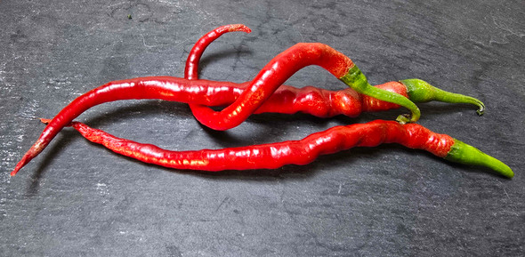 Hair Pepper Mature Pods Image by CHILLIESontheWEB