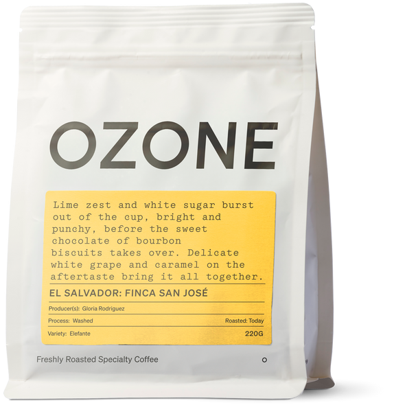 El Salvador: Finca San José, Elefante, Washed Coffee