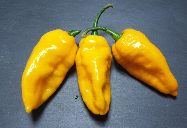 Bhutlah Yellow Chilli Pods Image by CHILLIESontheWEB