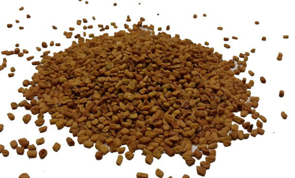 Fenugreek Seeds Organic Image by SPICESontheWEB