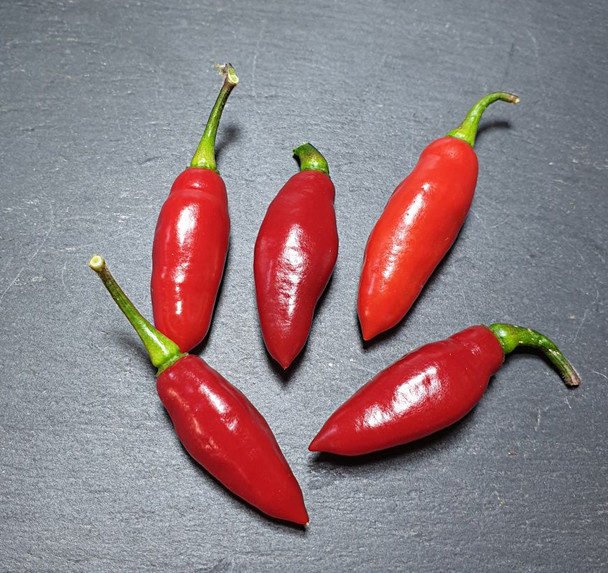 Clavo Red Mature Chilli Pods Image by CHILLIESontheWEB
