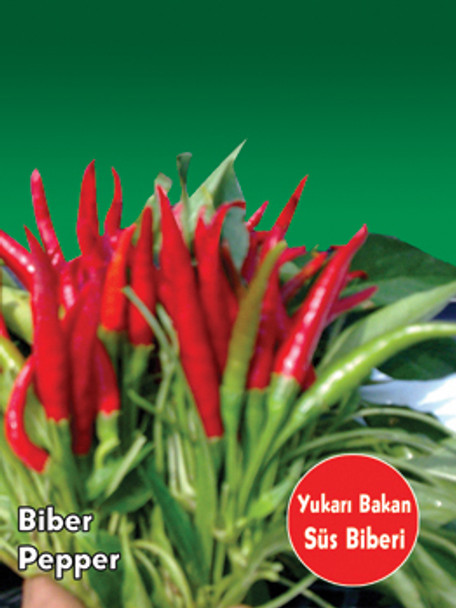 Yukari Bakan Chilli Image, Chillies on the Web