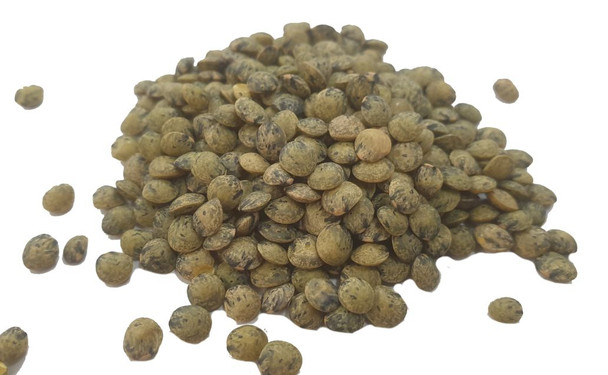 Dark Speckled Lentils Organic  Image by SPICESontheWEB
