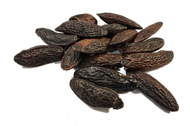 Tonka Bean Image by SPICESontheWEB Tonka Bean Image by SPICESontheWEB