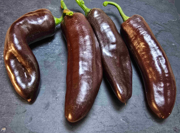 ramiro chocolate pepper pods