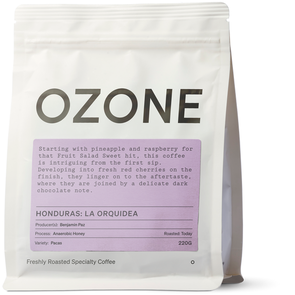 Honduras: La Orquidea, Pacas, Anaerobic Honey Coffee