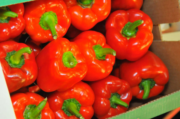 Bell of Lebanon Sweet pepper Image, Chillies on the Web