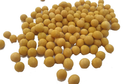 Soya Beans Organic