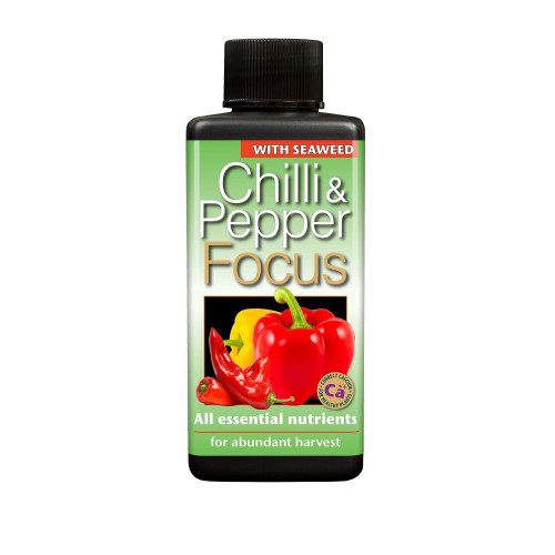  Chilli Focus