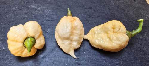 Carolina Reaper Peach 5 Chilli Seeds