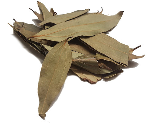 Malabathrum (Cinnamon Indian Bay) Leaves