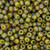 11/0 Japanese Glazed Opaque Olivine AB Glass Seed beads 11/0 Japanese Glazed Opaque Olivine AB Glass Seed beads