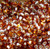 Japanese 2-Tone Topaz Silver Lined Glass Seed beads Japanese 2-Tone Topaz Silver Lined Glass Seed beads