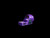 Purple Infinity Trijicon 2.5 MOA SRO - a Pineapple Ballistics exclusive!