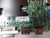 BN94-10166M Main Board for Samsung HG55NE470BFXZA(Version AA01)