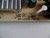 08-LE911A6-PW200AX TCL Power Supply For 43UP130 