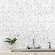 Carrara White Penny Round Marble Honed Mosaic