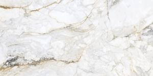 PAMESA - PISA GOLD 18X36 POLISHED