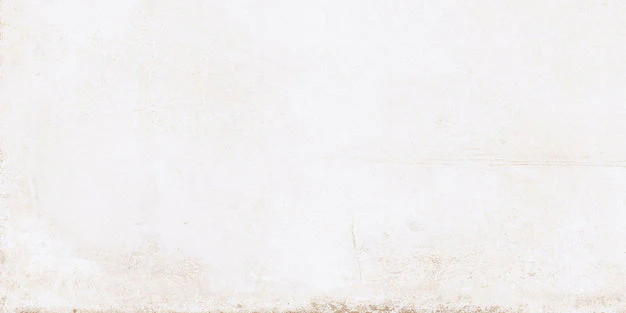 EM COGENT WHITE 16X32 Porcelain Tile $4.99 Sq. Ft.