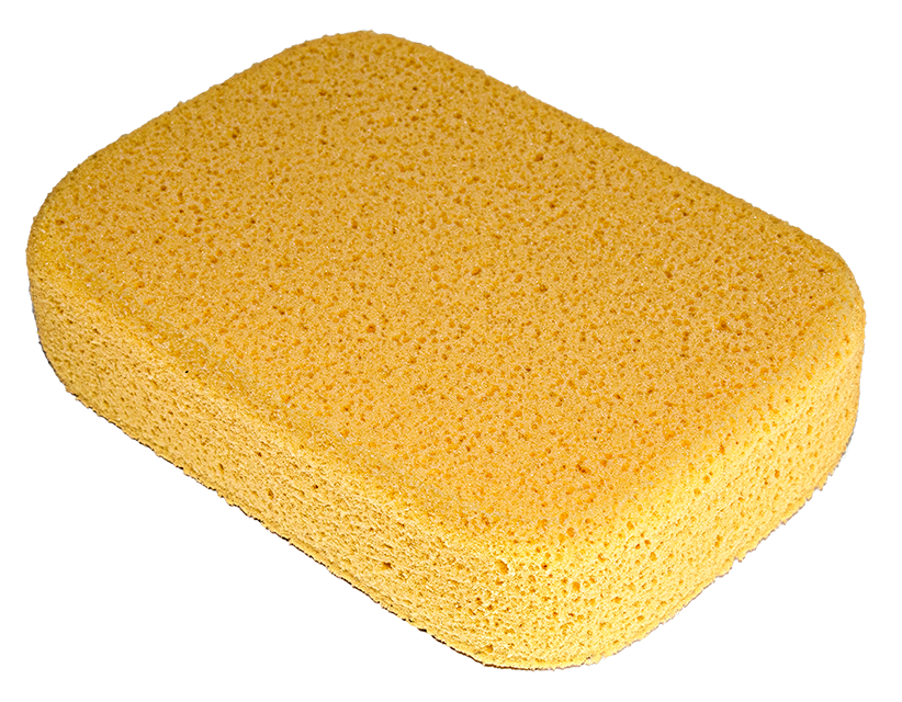 Sponge Hydro