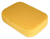 Sponge Hydro