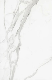 ELIANE - CARRARA - 24X48 SATIN