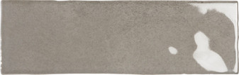 EMSER – PASSION – GRIS 2.5X8 GLOSSY *S/O*