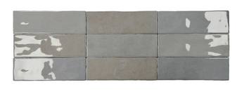 E- PASSION - GRIS 2.5X8 GLOSSY *S/O*