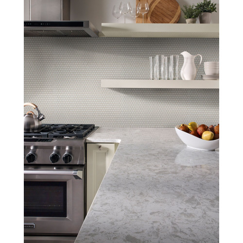 Gray Glossy Penny Round Mosaic Tile – 12x12 Wall & Floor