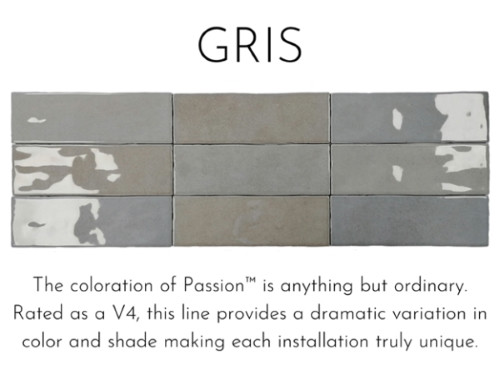 E- PASSION - GRIS 2.5X8 GLOSSY *S/O*