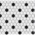 R Black & White Matte 12×12 Hexagon Mosaic