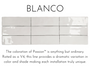 E - PASSION - BLANCO 2.5X8 GLOSSY