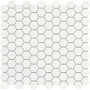 EMSER - SOURCE - PURE WHITE 1" HEX UNGLAZED