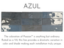 E - PASSION - AZUL 2.5X8 GLOSSY *S/O*