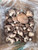 Shiitake Mushrooms (500g)