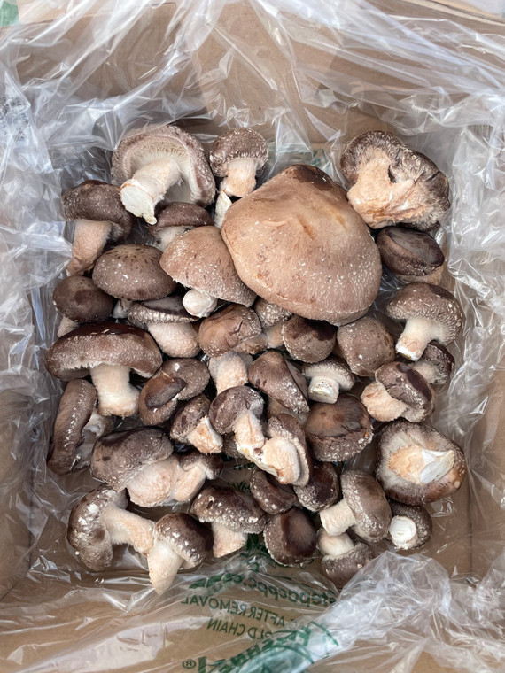 Shiitake Mushrooms (500g)