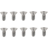 Drag Specialties Cover Screws - Derby/Inspection