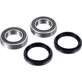 FACTORY LINKS ARAY010 Factory Links Axle Bearing Kit - Rear Ara-Y-010