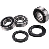 Factory Links Wheel Bearing Kit - Rear - Suzuki Dr-Z 400 Rwk-S-161