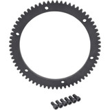 DRAG SPECIALTIES 2110-0205 Drag Specialties Starter Ring Gear 66 Tooth - Harley Davidson